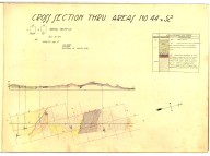 Cross section - Areas 43 and 49, [Sargent Oil Fields], Cross section - Areas 43 and 49, [Sargent Oil Fields]